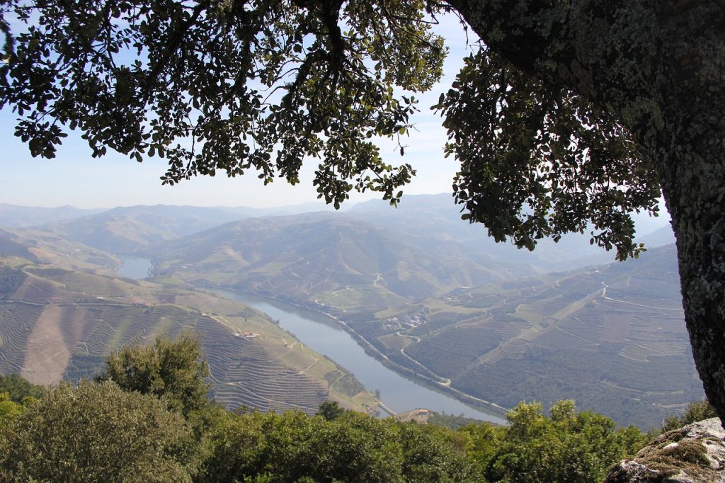 Das Dourotal in Portugal
Reiseziele im März
