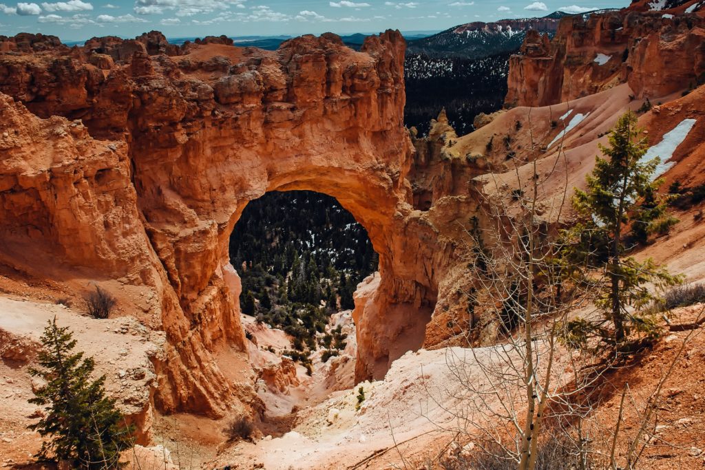 Hoodoos form where soft rock, like sandstone, is covered in a thin layer of harder rock. Weathering processes then erode these rocks into the pinnacles that we see today.