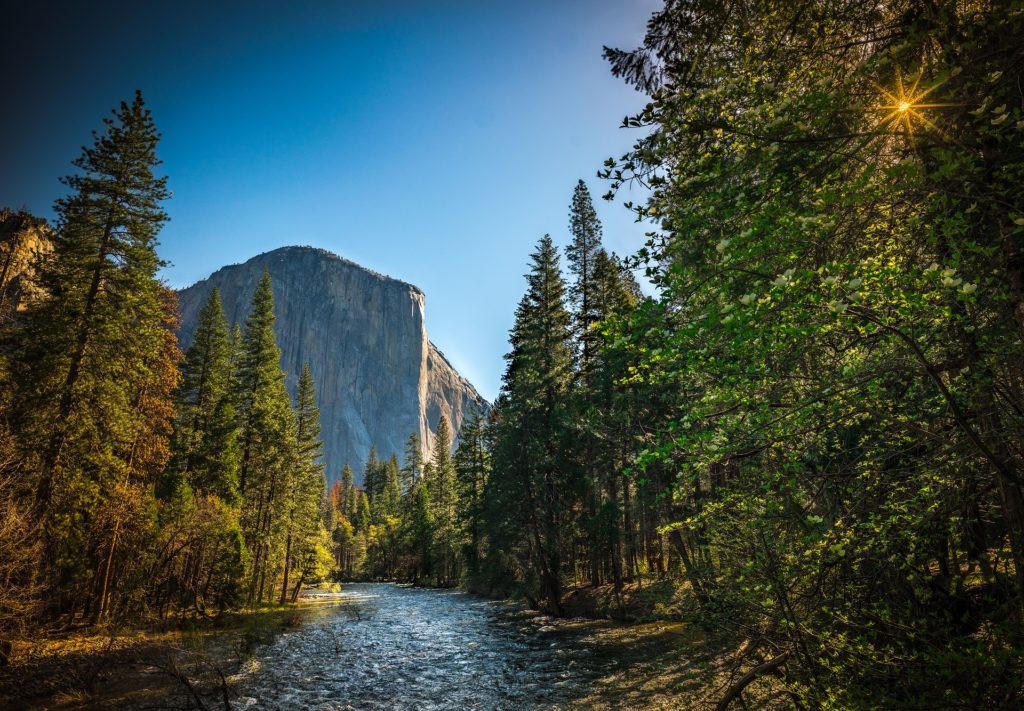 West of the USA - There’s so much to see at this park, you definitely need a few days just to see part of it.