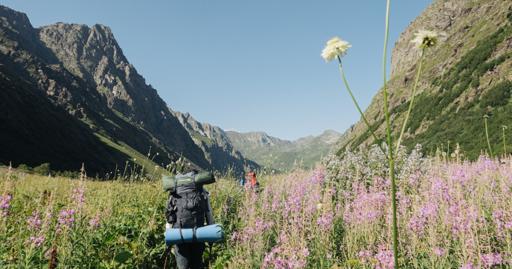 backpacker with backpack hiking in beautiful landscape with mountains and flowers