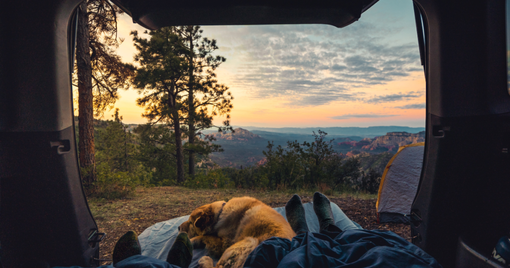 sleeping in a car