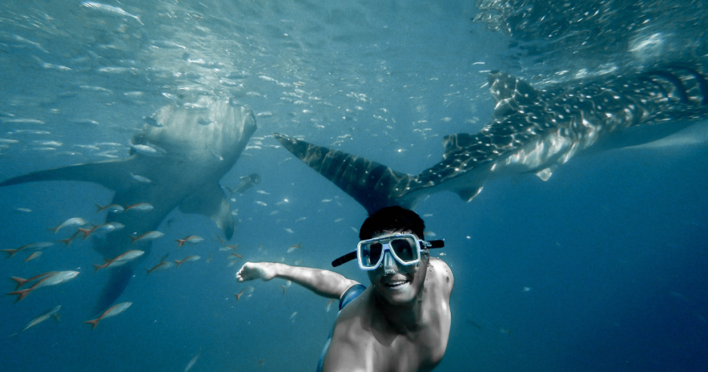 Underwater picture. guy swimms ad takes a selfie. In the background are some fishes