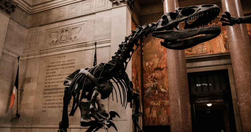American Museum of Natural History in New York City. you can get access to this museum with the new york explorer pass.