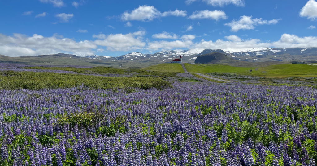 Snæfellsjökull National Park