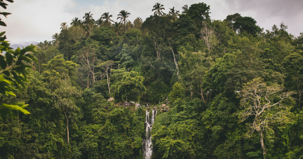 Sekumpul Waterfall