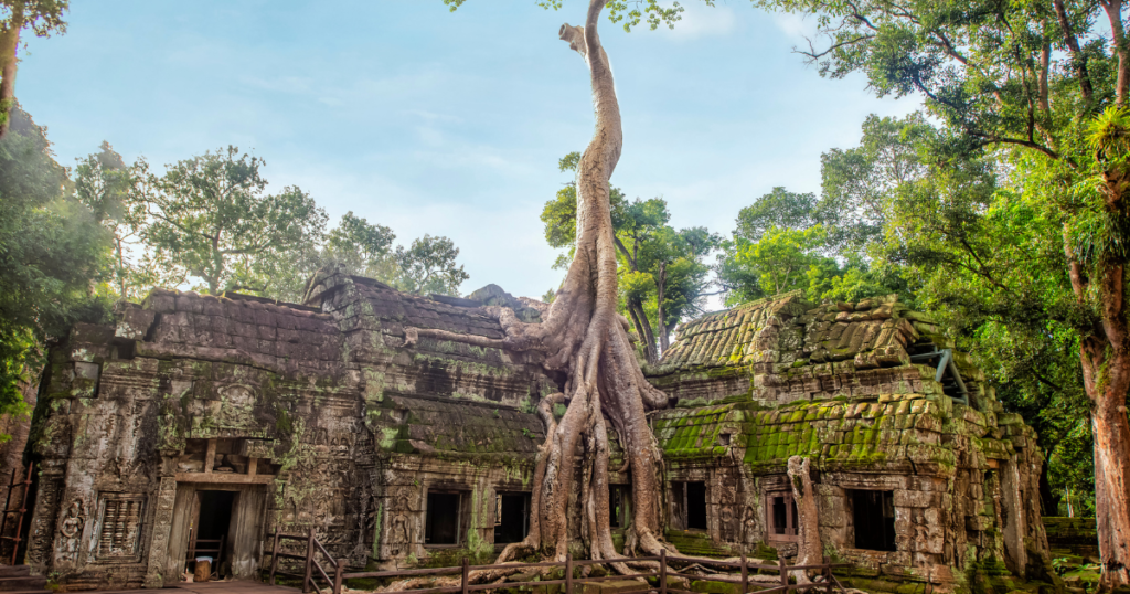 Explore the Temples of Angkor, Cambodia