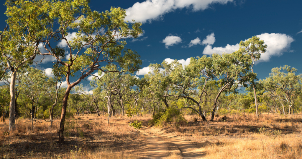 The Outback - Discovering Australia's Remote Heartland