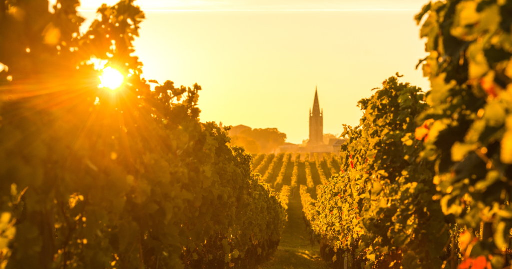 Wine tasting journey: Bordeaux, France