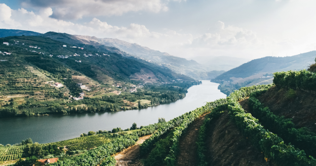 Wine tasting journey: Douro Valley, Portugal