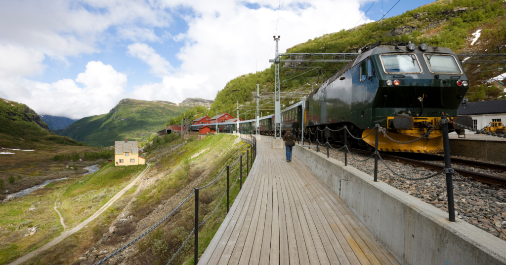 The Norwegian Fjords - Flåm Railway 