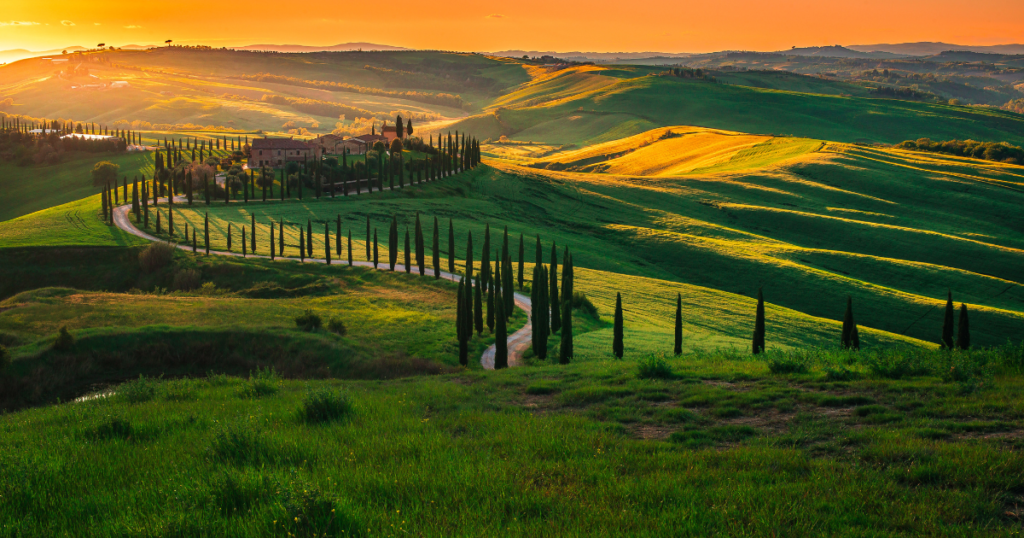 Wine tasting journey: Tuscany, Italy