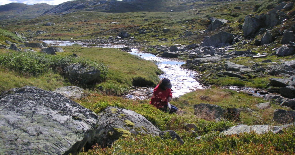 Best Hikes in Norway: Jotunheimen National Park
