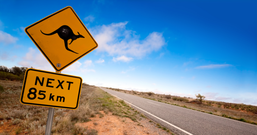 Wildlife Safari Road Trip: Watch out for the kangaroo road signs