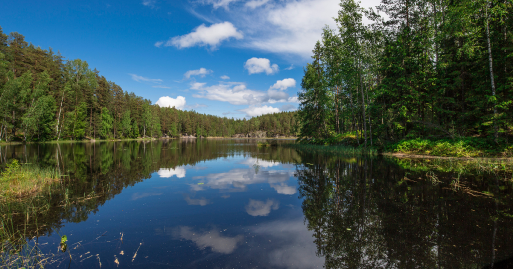 Must-See National Parks in Finland: Nuuksio National Park