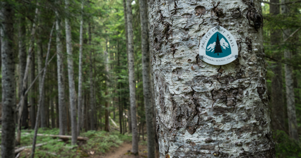Best Hikes Around the World: The Pacific Crest Trail