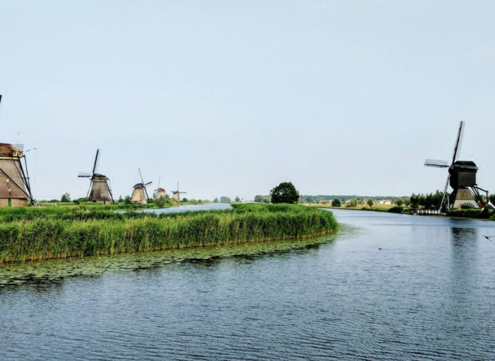 Must-See National Parks in the Netherlands