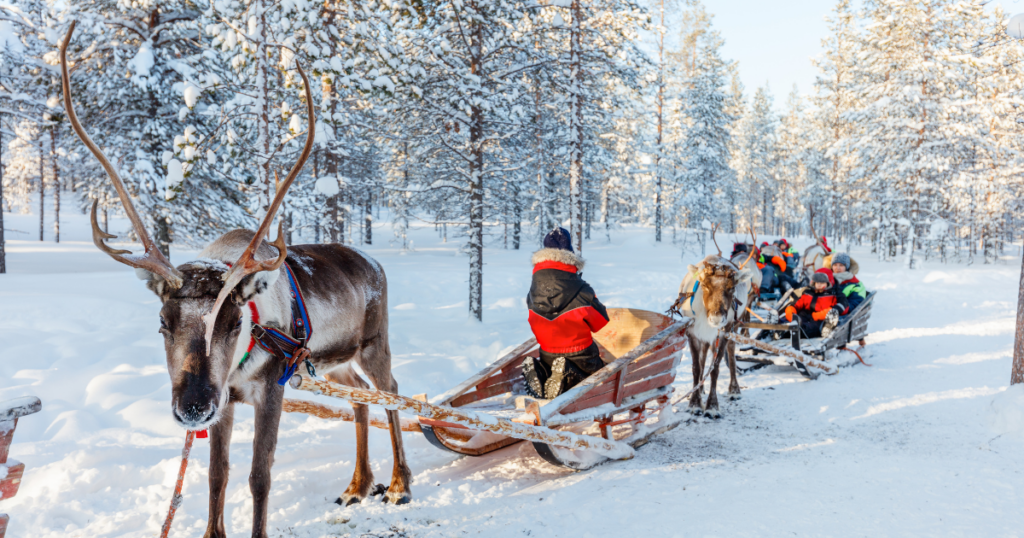 Reindeer Safari in Finish Lapland