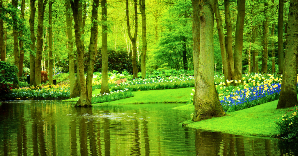 Adventure Cycling Routes: Keukenhof Gardens