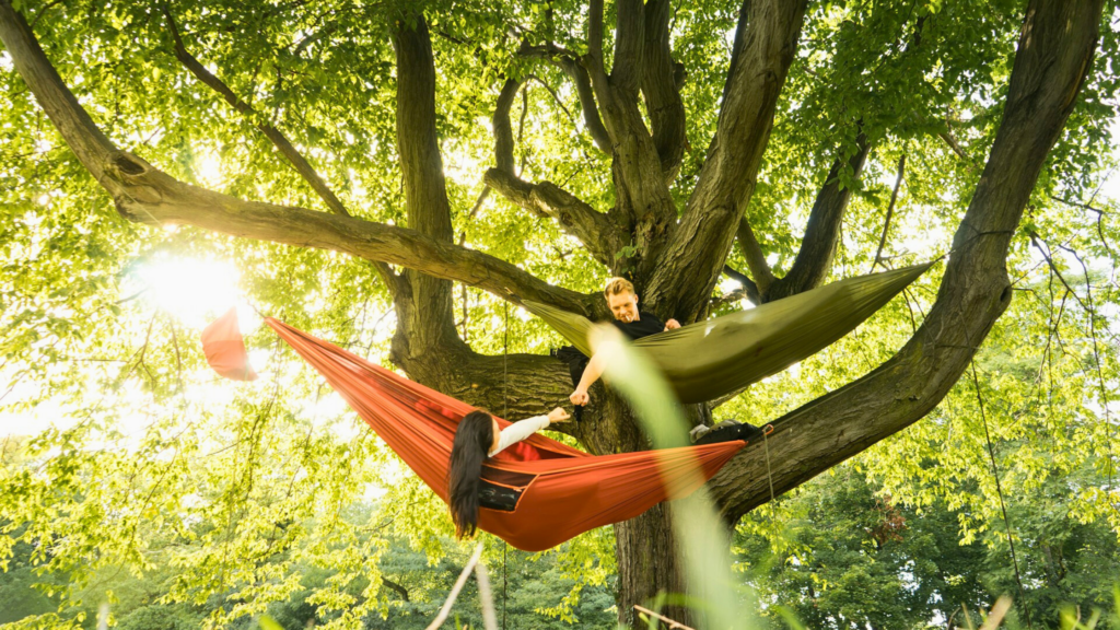 travel buddies chilling in a hammock