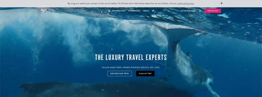 Homepage screen of the website Black tomato
