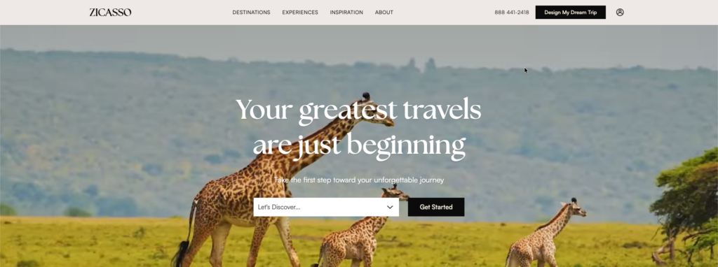 Homepage screen of the website Zicasso